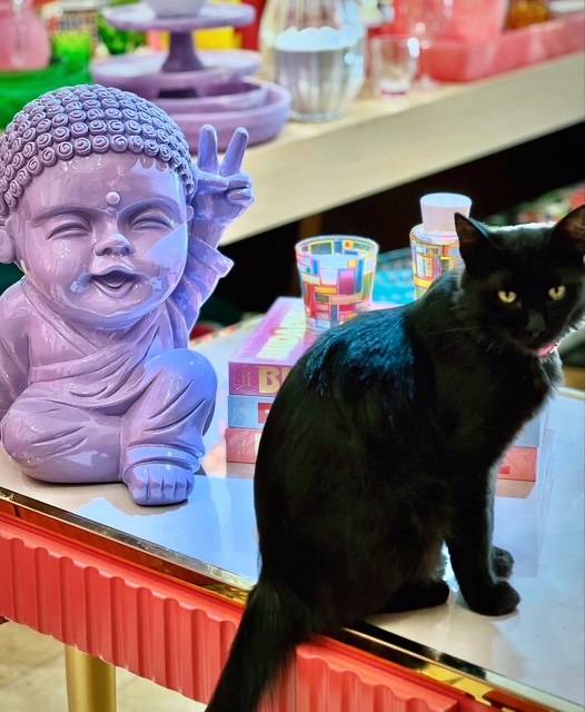 Concept Store  cadeaux accessoires Amman Jordanie Bungalow 11