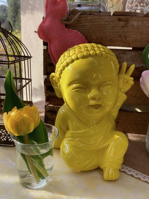 Proposer un espace boutique avec Bouddhas multicolores numérotés et certificat d’authenticité à Monaco