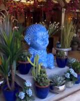 Fleuriste Paysager Décoration extérieure Vallauris A nos Racines