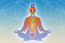 CURE PAR LE JEUNE LE VERCORS-  26400 Plan de Baix  - DOMAINE DE LA PIERRE BLANCHE - TEL 04 75 44 55 58 LA PENSEE SAUVAGE -